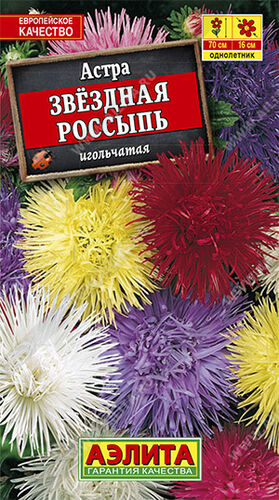 Астра Звездная россыпь, смесь игольчатая