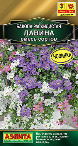 Бакопа Лавина раскидистая, смесь сортов 