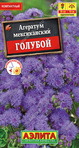 Агератум Мексиканский голубой