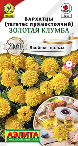 Бархатцы (тагетес) прям. Золотая клумба 