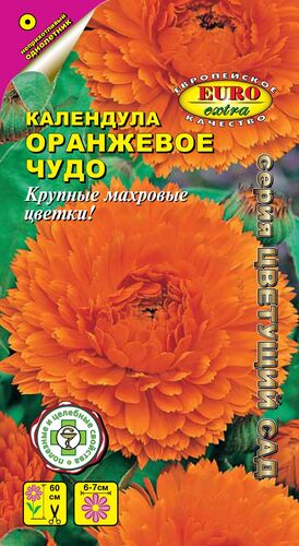 Календула Оранжевое чудо махровая         