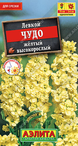 Левкой Чудо желтый высокорослый                    