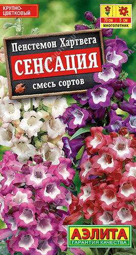 Пенстемон Сенсация, смесь